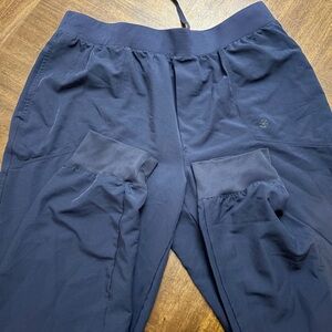 GAIAM Men's Navy Blue Pants